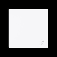 Cover plate for switch/push button 2520 TR-44G