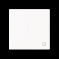 Cover plate for switch/push button 1789 ST-44M