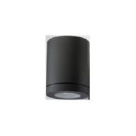 Downlight/spot/floodlight 1x35W