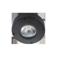 Downlight/spot/floodlight 1x3W