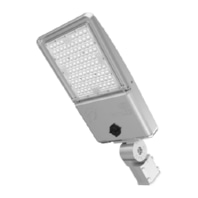 Luminaire for streets and places RayTrack Pro #401155