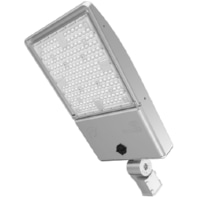 Luminaire for streets and places RayTrack Pro #401854
