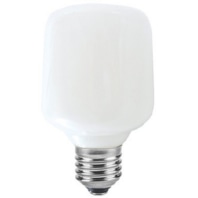 LED lamp E27 2700K opal dimmable 32755