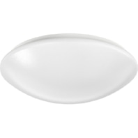 Ceiling-/wall luminaire LED exchangeable RUFO2 0420841//396