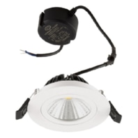 Downlight/spot/floodlight PS54060102