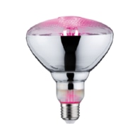 LED-Filamentlampe 230V, 287.37