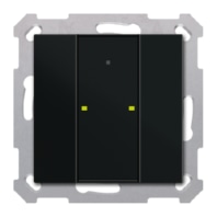 KNX Push Button Plus TS 55 2-fold, Black matt BE-TA55T206.02