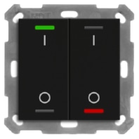 KNX Push Button Lite 55 2 gang, RGBW, switch, with temperature sensor, Black matt BE-TAL55T206.B1