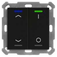 KNX Taster Light 55 2-fach, RGBW, Temperatursensor, Schwarz matt, Jal._Sch. BE-TAL55T206.C1