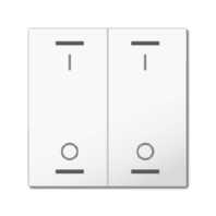 Rocker for the KNX Push Button Light 55 2 gang, white glossy finish, switch BE-TAL55W202.B1