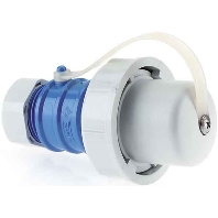 Protective contactPlug Blue 736