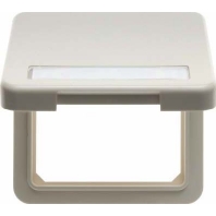 Adapter cover frame 102250