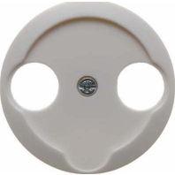 Central cover plate 103920