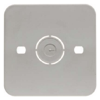 Base plate f. flush mounted installation 105250