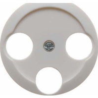 Central cover plate 106420