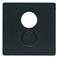 Zentralstck anth/sa f.Lautsprecher-Dose 11966086
