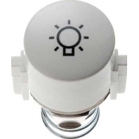 Tasterknopf pws fr Symbol Licht 1226