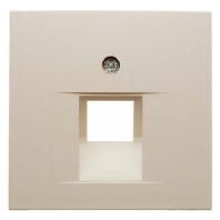 Zentralstck ws/gl f.UAE-Dose 14078982