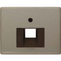 Central cover plate UAE/IAE (ISDN) 14080001