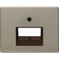 Central cover plate UAE/IAE (ISDN) 14100001