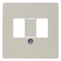 Central cover plate for intermediate 145802