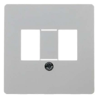Central cover plate for intermediate 145809