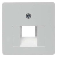 Central cover plate for intermediate 146809