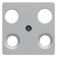 Central cover plate for intermediate 14831909
