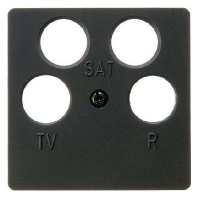 Central cover plate for intermediate 14841606