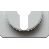 Cover plate for switch/push button white 151919