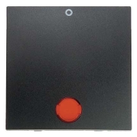 Cover plate for switch/push button 16241606