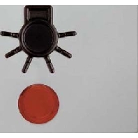 Wippe pws Symbol Licht 16511949