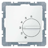 Raumtemperaturregler Wechsler 20266089