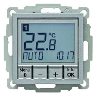 Temperaturregler alu matt mit Schlieer 20441404