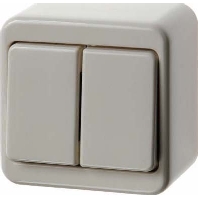 Series switch surface mounted white 300540