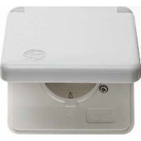 Steckdose pws SCHUKO- 421109