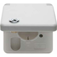 Steckdose pws SCHUKO- 421209