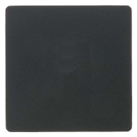 Zentralplatte anth 75940485