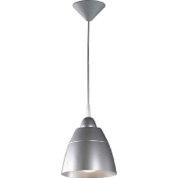 Pendant luminaire 1x60W standard lamp 21293