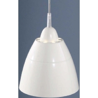 Pendelleuchte ws E27 57W 21294