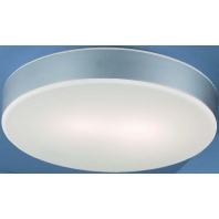 Ceiling-/wall luminaire 2x57W 41301
