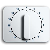 Cover plate for time switch white 1770-24G-101