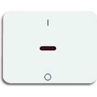 Cover plate for switch/push button white 1788-24G