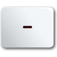 Cover plate for switch/push button white 1789-24G