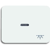 Cover plate for switch/push button white 1789 LI-24G