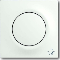 Zentralscheibe stws mt mit Symbol Licht 1789 LI-774