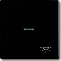 Wippe sw mt mit Symbol Licht 1789 LI-885