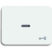 Cover plate for switch/push button white 1789 TR-24G