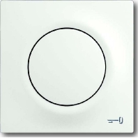 Zentralscheibe stws mit Symbol Schlssel 1789 TR-774