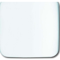 Zentralscheibe aws neutral 1790-580-214